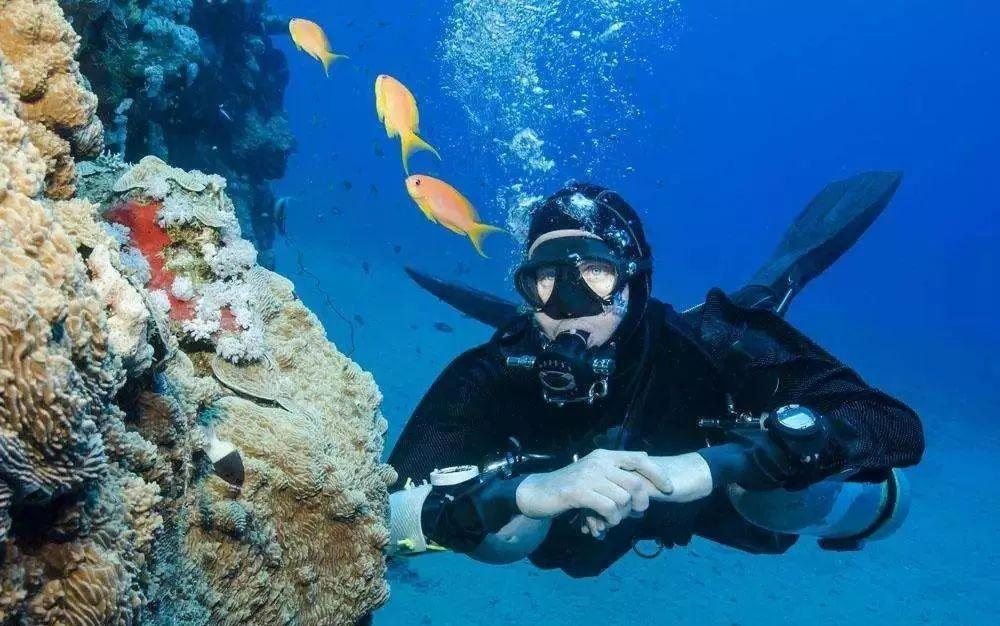 浦发银行在皖打造总行级科技专营机构